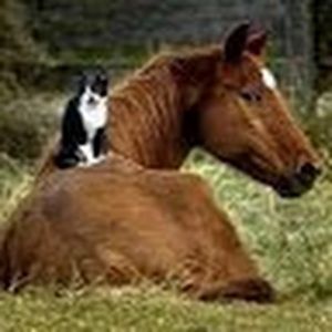 Meet your Posher, Meaghan